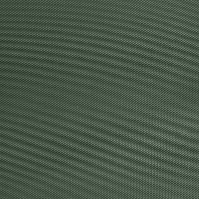 Оксфорд (Oxford) 240D 19-5917, PU/WR, 115 гр/м2, шир.150см, цвет т.зелёный - купить в Казани. Цена 152.54 руб.
