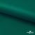 Ткань подкладочная Таффета, 19-5420, 53 г/м2, антистатик, шир. 150 см, вечнозеленый - купить в Казани. Цена 57.16 руб.