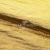 Текстильный материал "Диско"#1805 с покрытием РЕТ, 40гр/м2, 100% полиэстер, цв.5-золото - купить в Казани. Цена 412.36 руб.