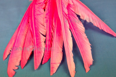 Декоративный Пучок из перьев, перо 25см/розовый - купить в Казани. Цена: 14.54 руб.