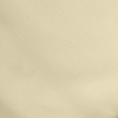 Ткань подкладочная Таффета 14-1014, антист., 53 гр/м2, шир.150см, цвет бежевый - купить в Казани. Цена 62.37 руб.