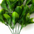 Трава искусственная -1, шт (эвкалипт лист 32 см/8 см)				 - купить в Казани. Цена: 169.93 руб.