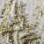 Трикотажное полотно, Сетка с пайетками, шир.130 см, #315, цв.-белый/золото - купить в Казани. Цена 693.39 руб.