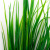 Трава искусственная -2, шт (осока 41см/8 см)				 - купить в Казани. Цена: 104.57 руб.