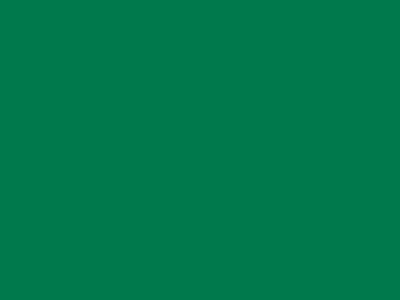 85 см № 258 яр. зеленый спираль (G) сорт-2 - купить в Казани. Цена: 16.97 руб.