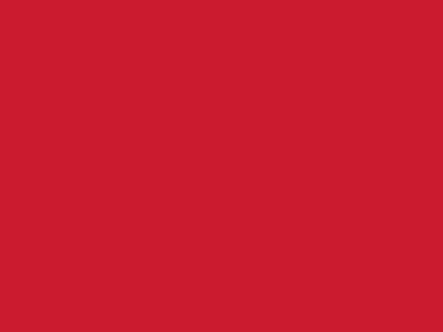 Сетка подкладочная красный, 60г/м2 (10 м/кг) - купить в Казани. Цена 894.77 руб.