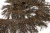 008-коричневый, Бахрома арт.001 шир.10см (упак.12+/-0,5м) - купить в Казани. Цена: 1 017.33 руб.