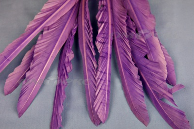 Декоративный Пучок из перьев, перо 25см/фиолетовый - купить в Казани. Цена: 12.19 руб.