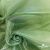 Ткань органза, 100% полиэстр, 28г/м2, шир. 150 см, цв. #27 зеленый - купить в Казани. Цена 86.24 руб.