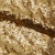 Сетка с пайетками №3, 188 гр/м2, шир.140см, цвет золотой - купить в Казани. Цена 454.12 руб.