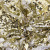 Трикотажное полотно, Сетка с пайетками, шир.130 см, #315, цв.-белый/золото - купить в Казани. Цена 693.39 руб.