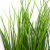 Трава искусственная -4, шт  (осока 50 см/8 см  7 листов)				 - купить в Казани. Цена: 130.73 руб.