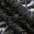 Кружевное полотно XD LACE 1-4, 80 гр/м2, шир.150см, цвет чёрный - купить в Казани. Цена 245.94 руб.